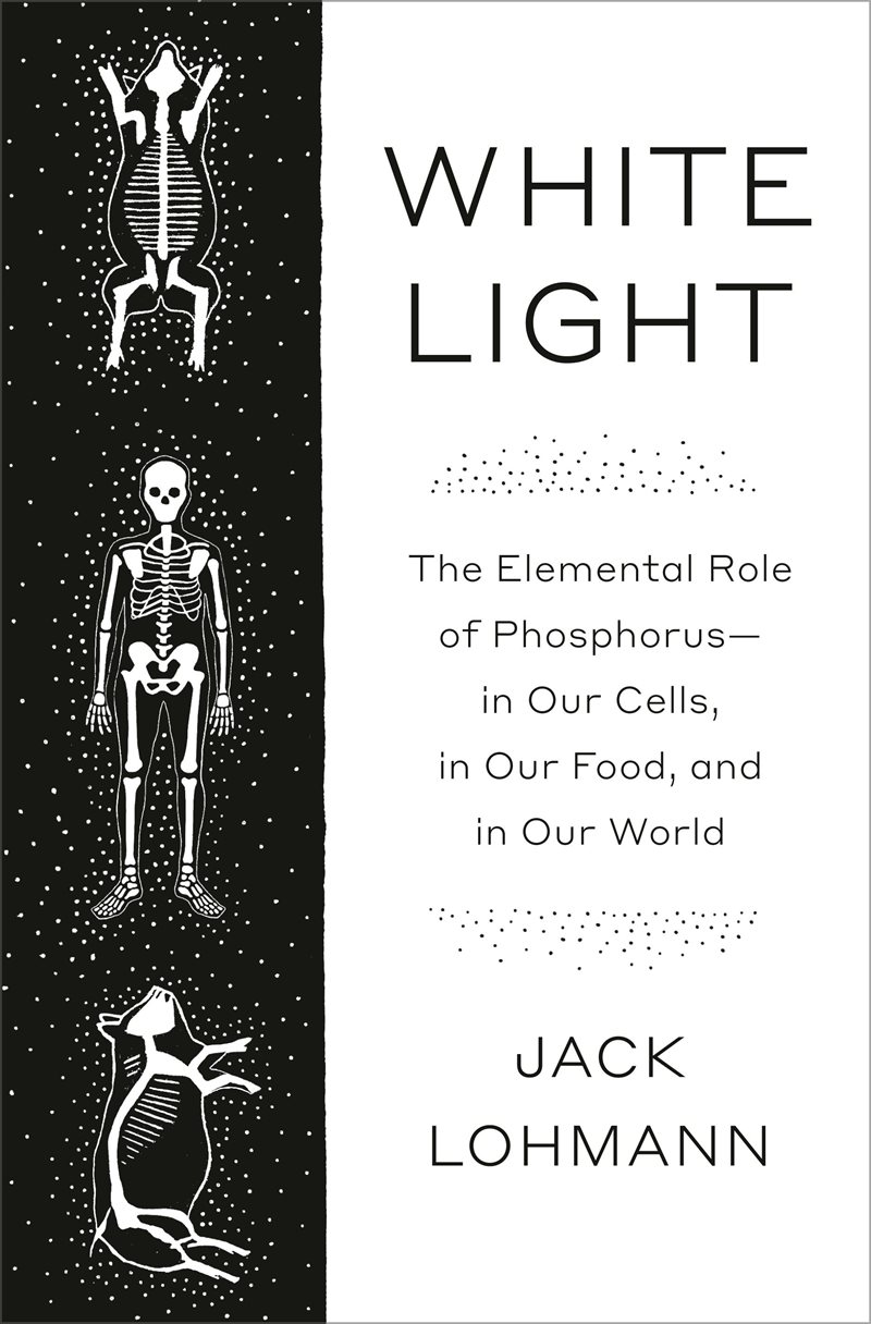 White Light: The Elemental Role of Phosphorus-in Our Cells, in Our Food, and in Our World