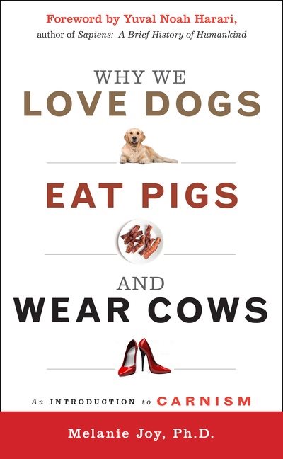 Why We Love Dogs, Eat Pigs And Wear Cows