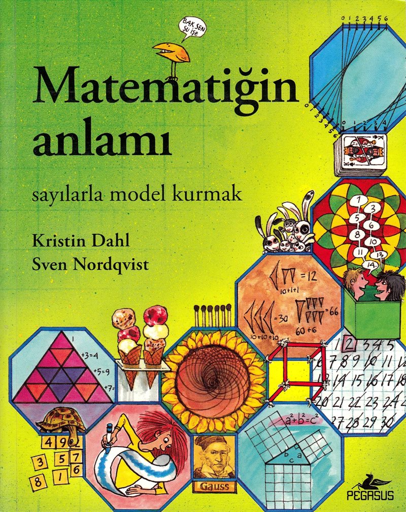 Matematigin Anlami: Sayilarla Model Kurmak