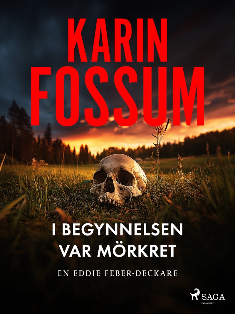 I begynnelsen var mörkret