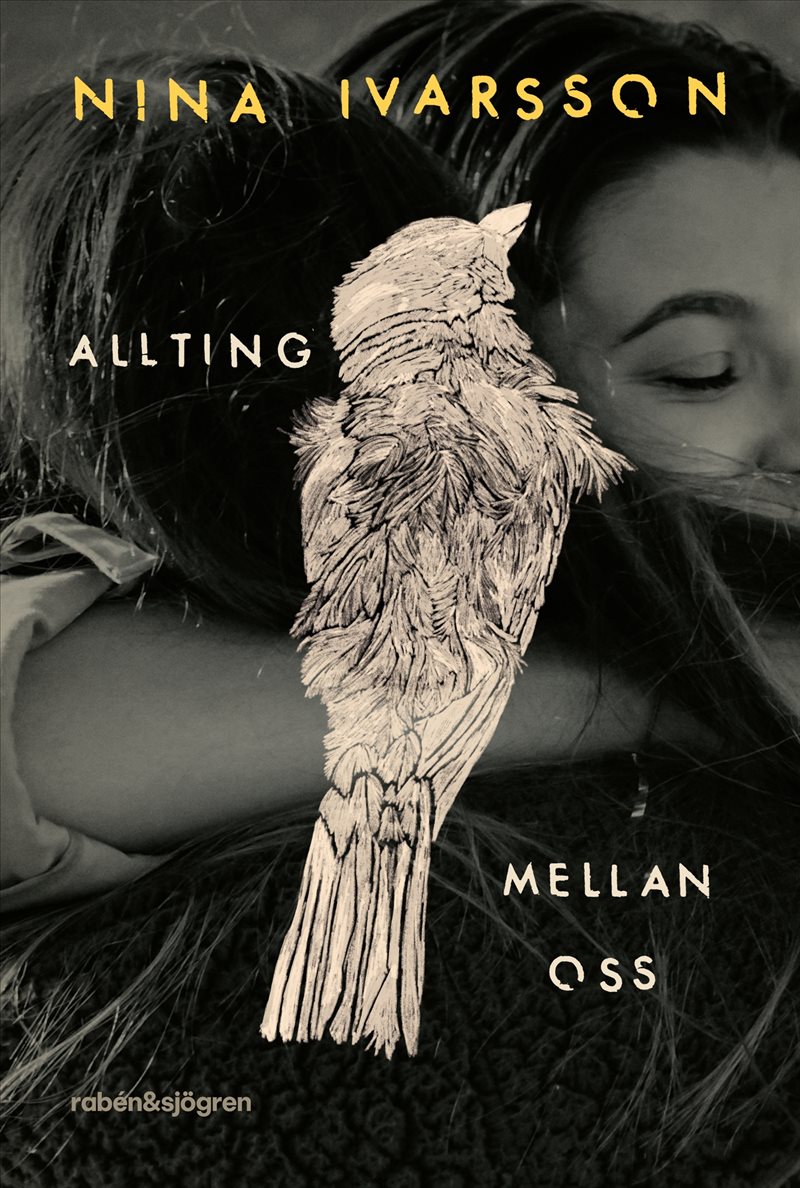 Allting mellan oss