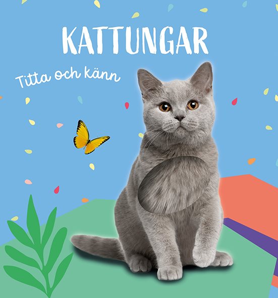 Titta och känn: Kattungar