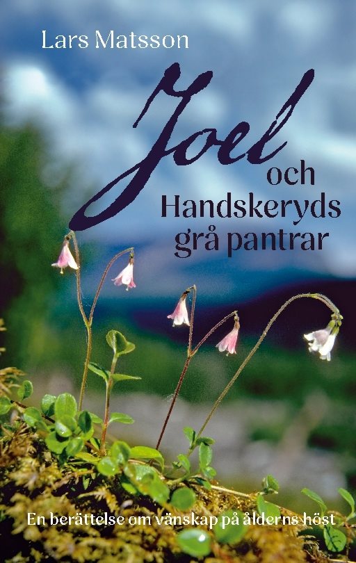 Joel och Handskeryds grå pantrar : en berättelse om vänskap på ålderns höst