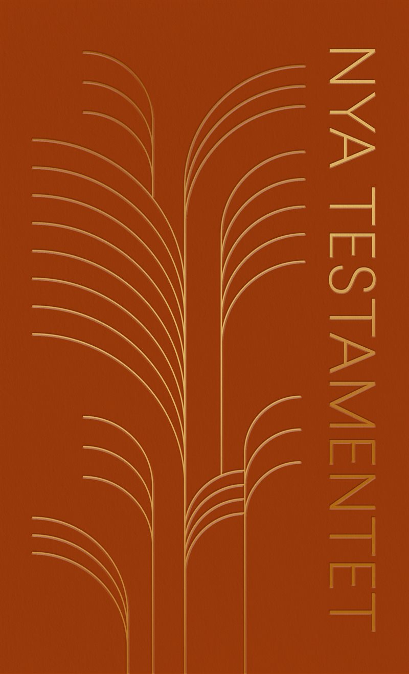 Nya testamentet 2026 flexband
