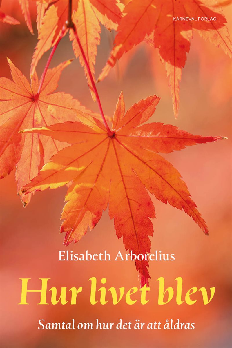 Hur livet blev : samtal om hur det är att åldras