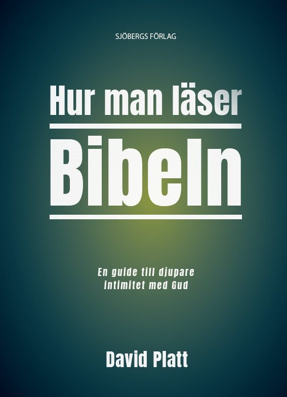 Hur man läser Bibeln