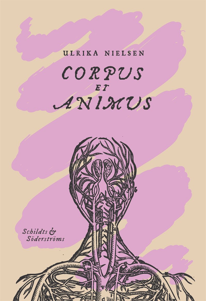 Corpus & animus