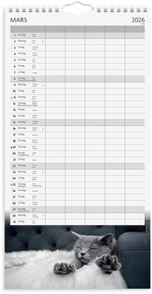 Familjekalender 2026 Katter