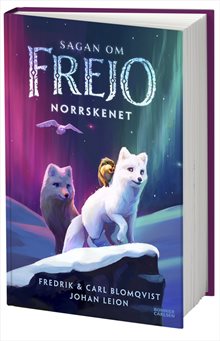 Norrskenet